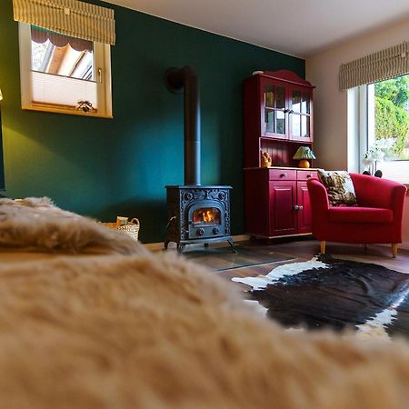 Ferienwohnung Ziegelbergsweg فيرنغروده المظهر الخارجي الصورة